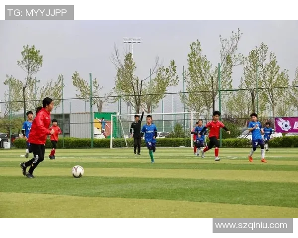 走进足球星园探索绿茵魅力与青少年成长之路 走进足球星园探索绿茵魅力与青少年成长之路