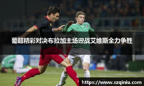 龙8国际网站