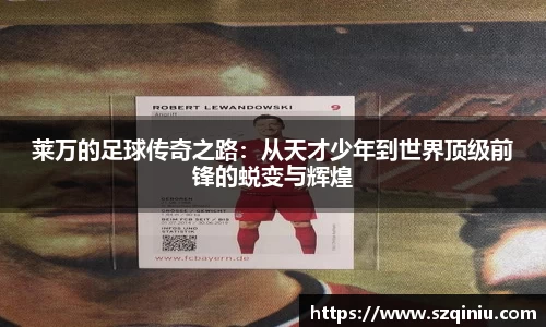 龙8国际网站